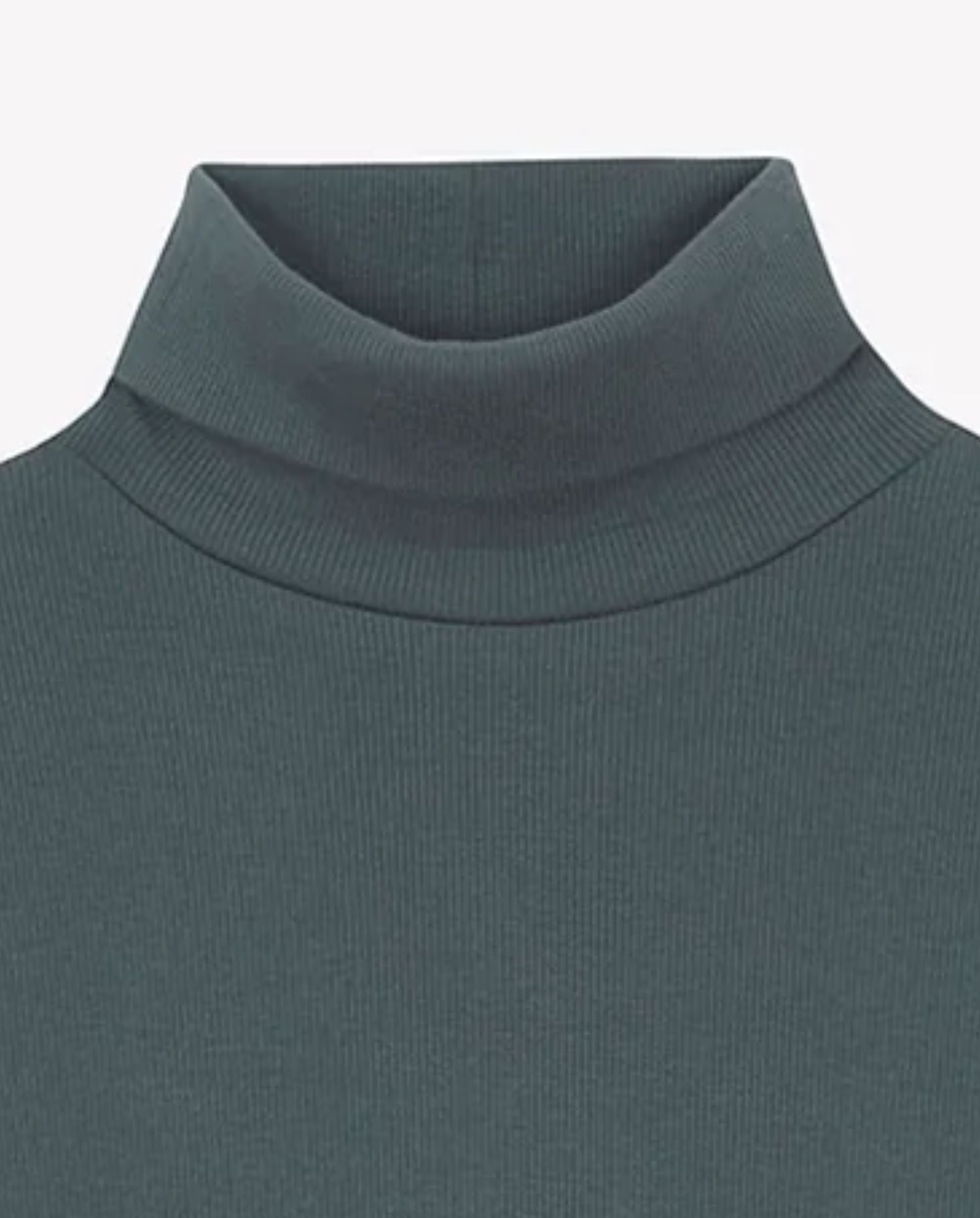 Sous Pull Titou Turtleneck - CO LABEL
