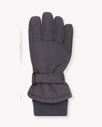 Ski Gloves