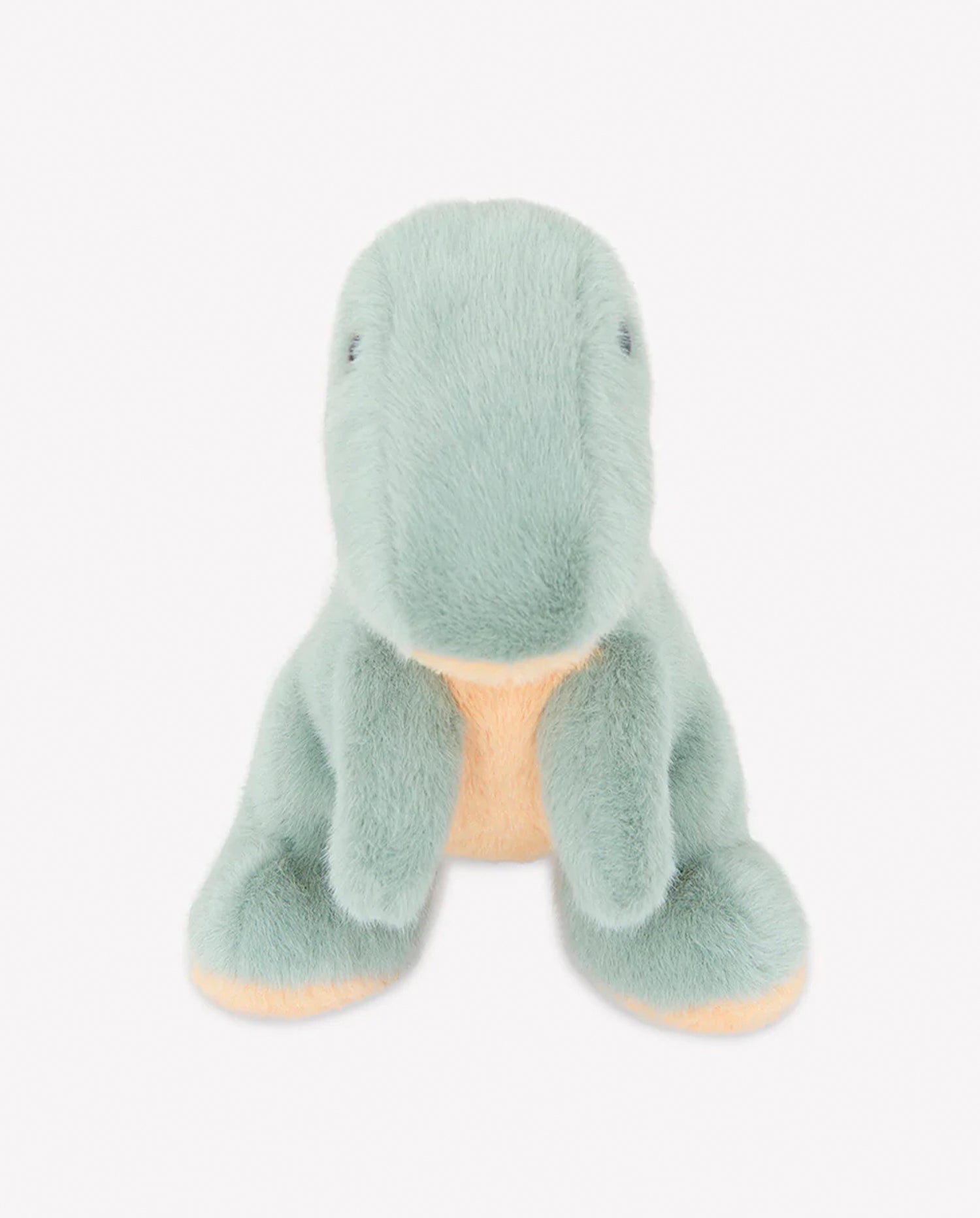 BONTON DINO BAMSE - CO LABEL