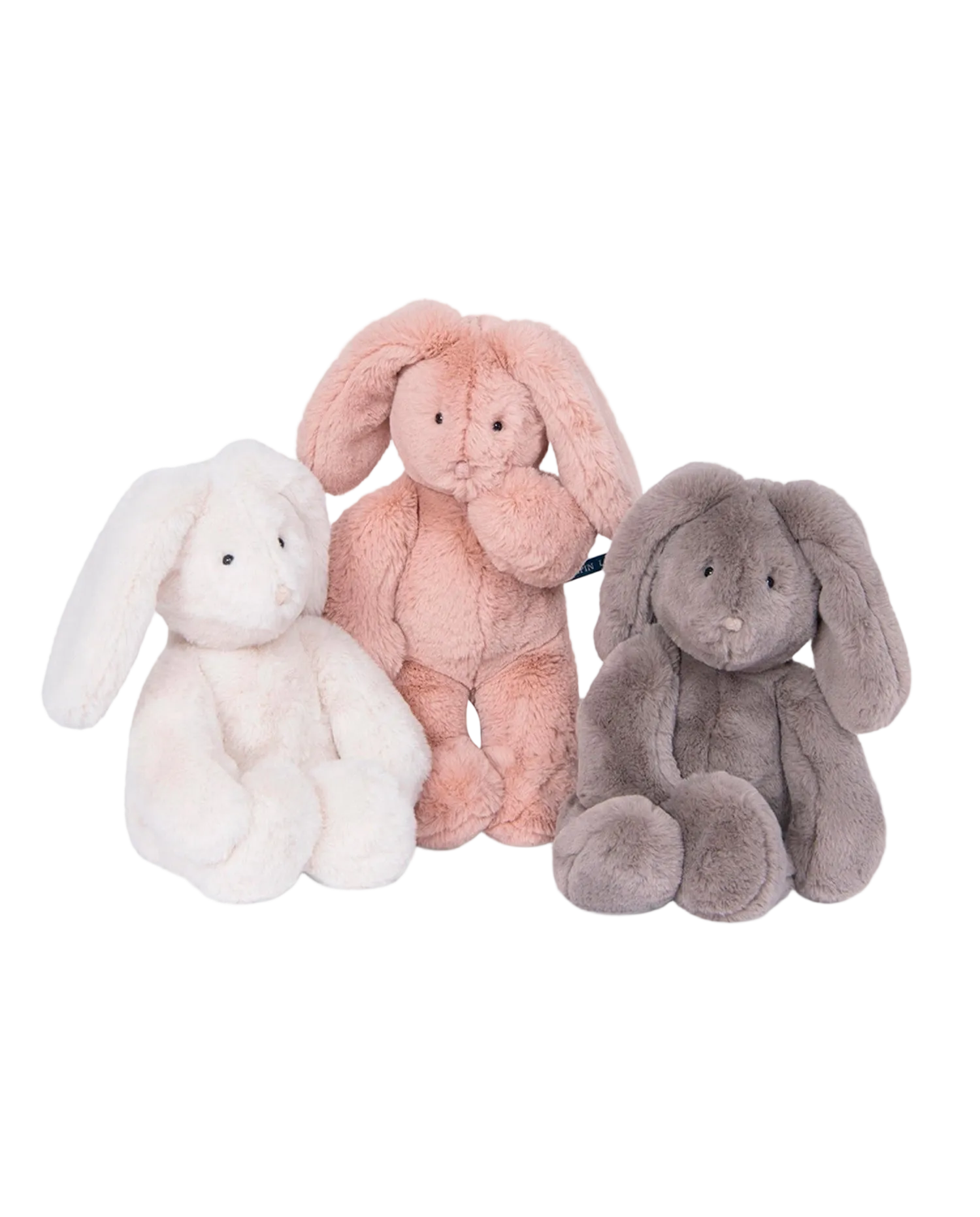 Rabbit Teddy